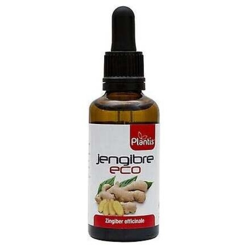 Plantis Ext. Jengibre Eco 50ml - Artesania Agricola