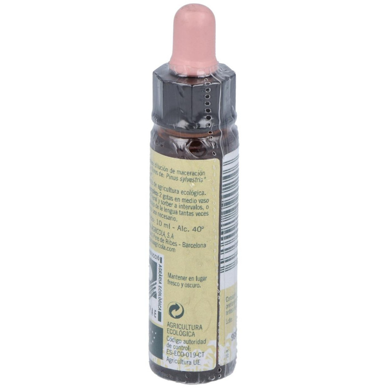 Pine Plantis Flores de Bach Nº 24 10ml - Artesania Agricola