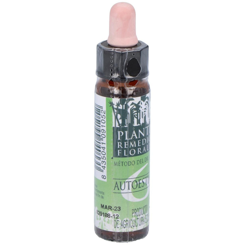 Remedio Plantis Nº 6 Autoestima 10ml. Eco - Artesania Agricola