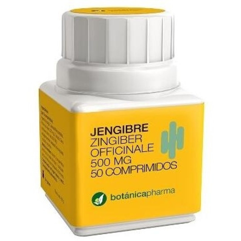Botanicapharma Jengibre 500 mg 50 Comp - Jengibre
