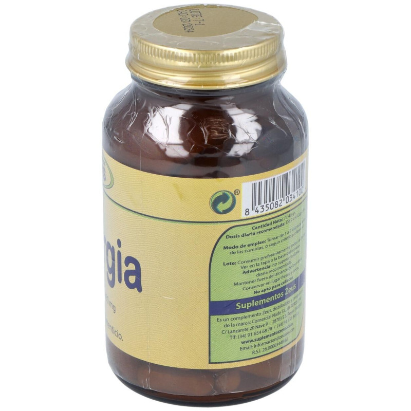 Sinergia 90Cap. 2