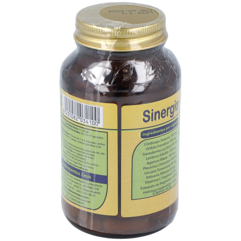 Sinergia 90Cap. 2