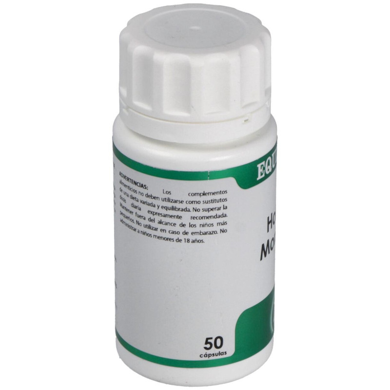 Holofit Moringa 50 Cápsulas - Equisalud