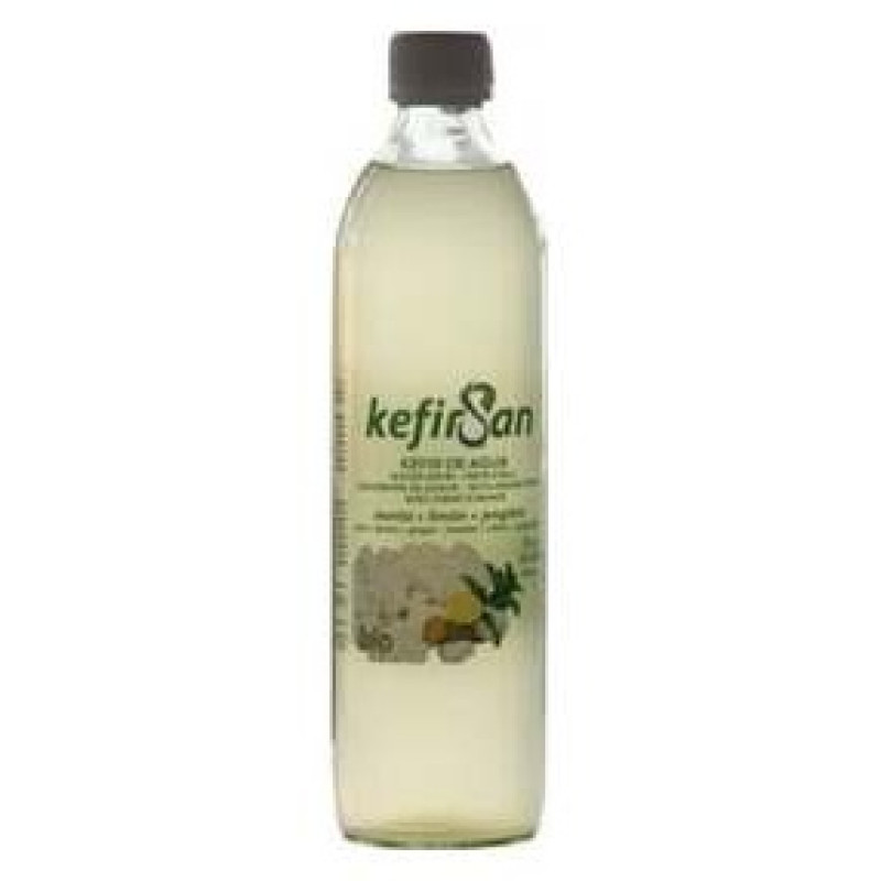 Kefir de Agua Sabor Menta Limon Jengibre 500m Bio - Bionsan