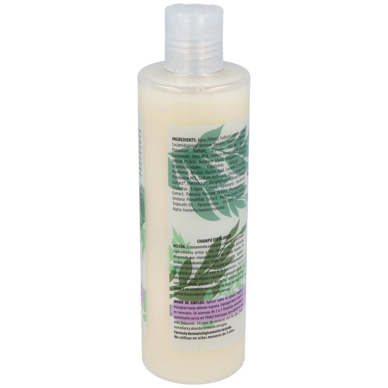 Champu Exfoliante Anticaspa 300ml. (ref. 641) - Algologie