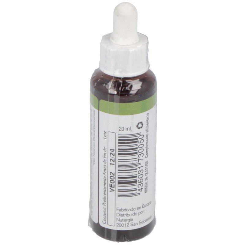 Vervain 20Ml.
