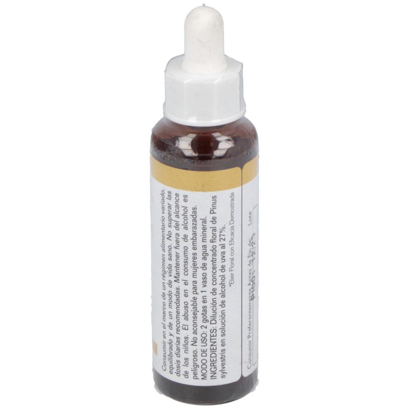 Pine 20Ml.