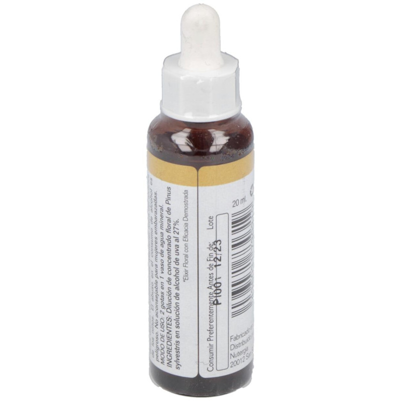 Pine 20Ml.