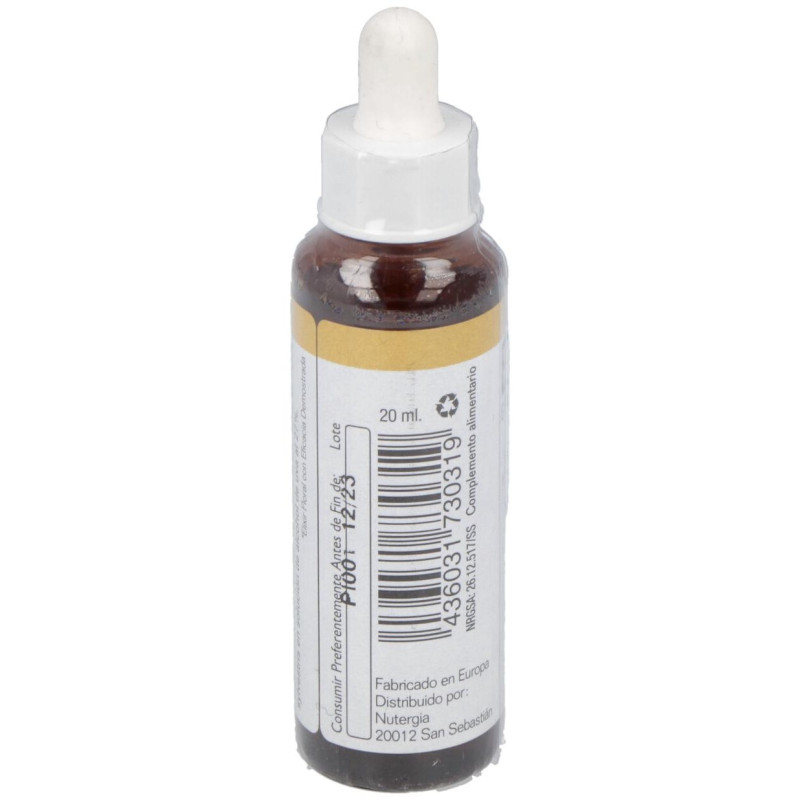 Pine 20Ml.