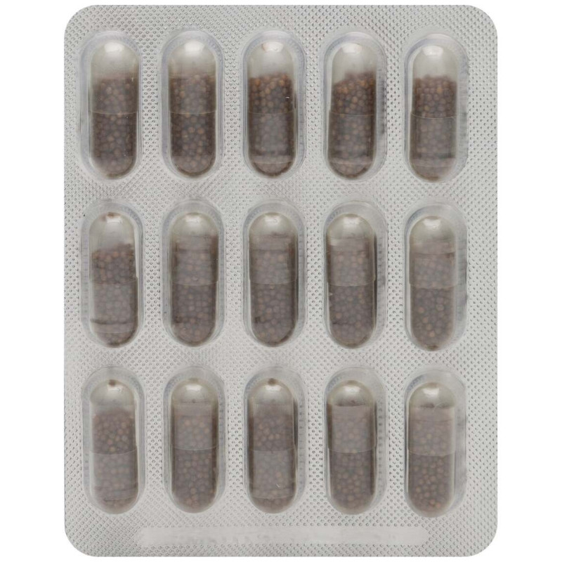 Neovital Reishi Neo 60 Cápsulas - Reishi Neo