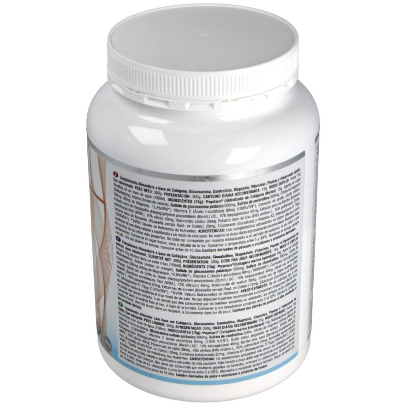 Prisma Natural Colagen Plus Flexi+ 300G Peptan
