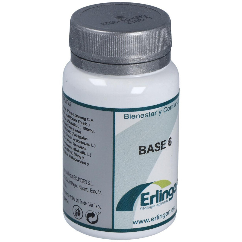 Base 6 60 Cpr - Erlingen