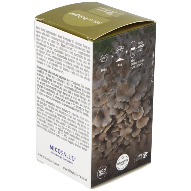 Mico Polypor (polyporus) Hdt 70cap. 3 - Hifas Da Terra