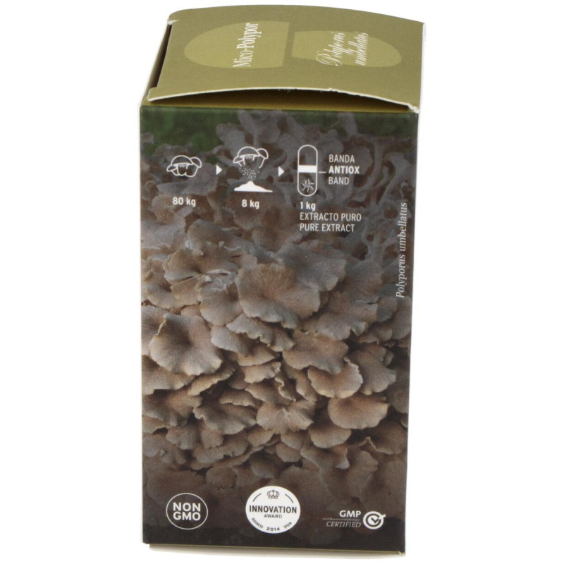Mico Polypor (polyporus) Hdt 70cap. 3 - Hifas Da Terra