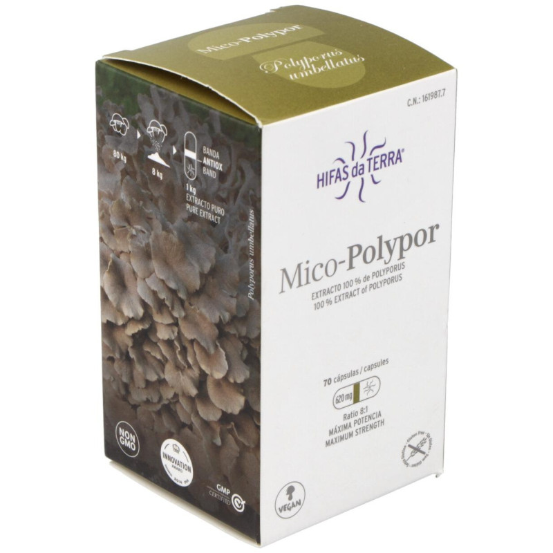 Mico Polypor (polyporus) Hdt 70cap. 3 - Hifas Da Terra