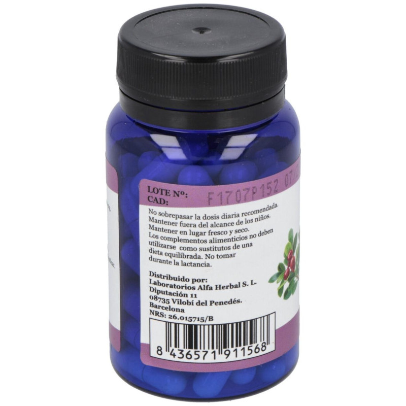 Uva Ursi Gayuba 60caps - Alfa Herbal