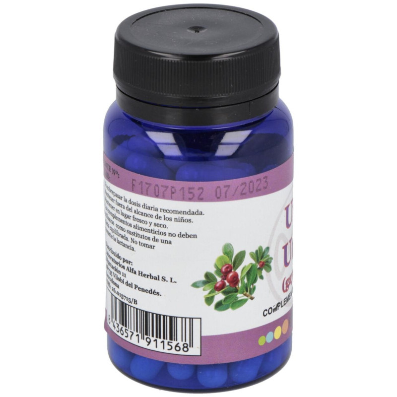 Uva Ursi Gayuba 60caps - Alfa Herbal