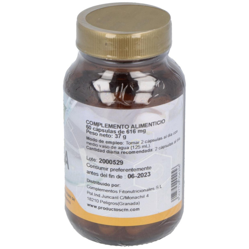 Gaba 60cap. 3 - Cfn