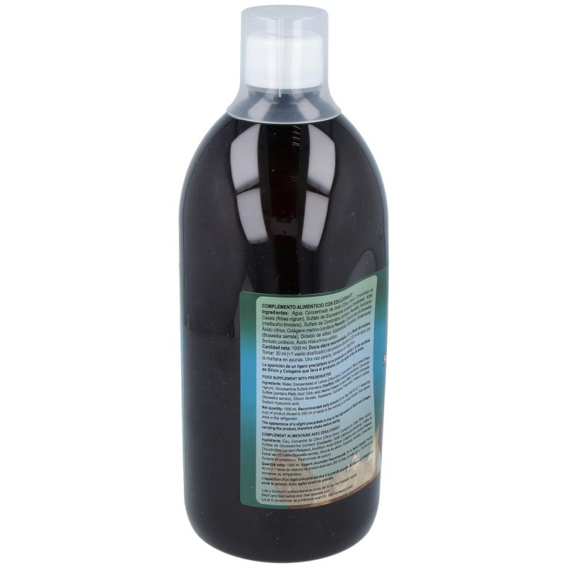 Artrion Silicio Complex 1litro - Jellybell