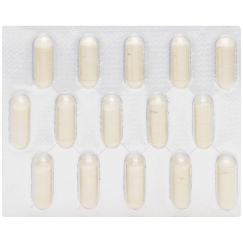 Arkopharma Arkodiet Chitosán Extra Forte 500 mg, 60 Cápsulas - Chitosan