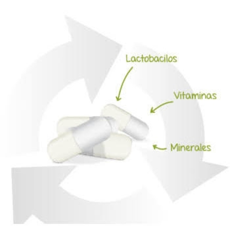 Lactoflora Protector Inmunitario (30 Cápsulas) - Stada