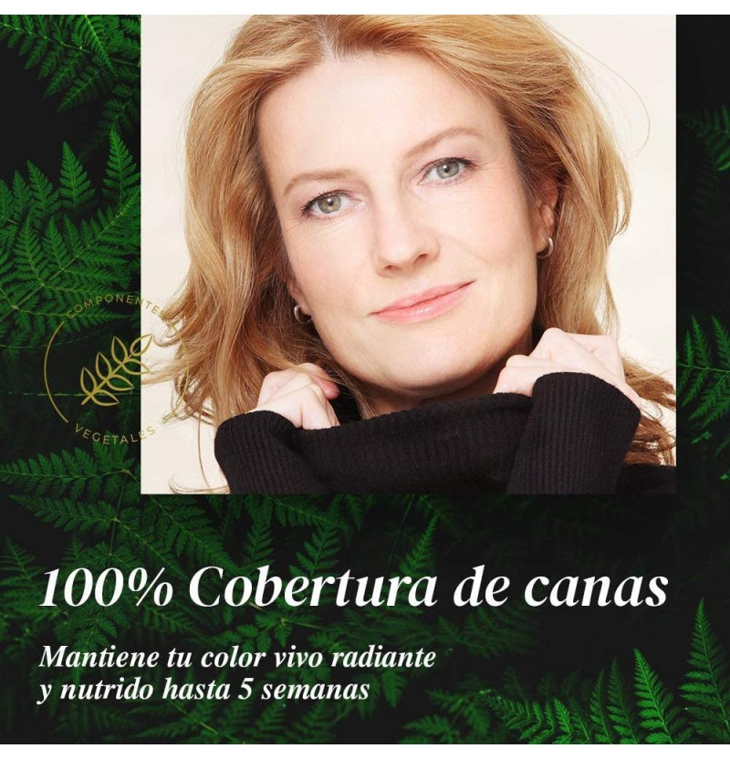 Farmatint (1 Envase 135 ml Tono Castaño Caoba) - Perrigo