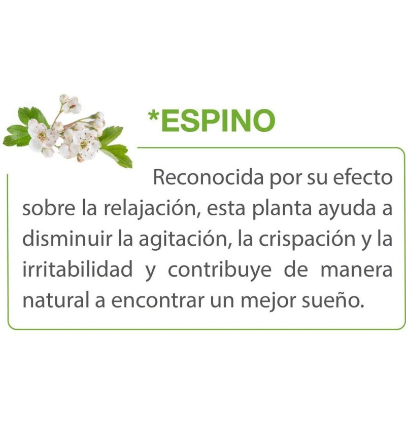 Passiflorine (1 Envase 125 ml) - Baule Volante & Fior Di Loto Srl