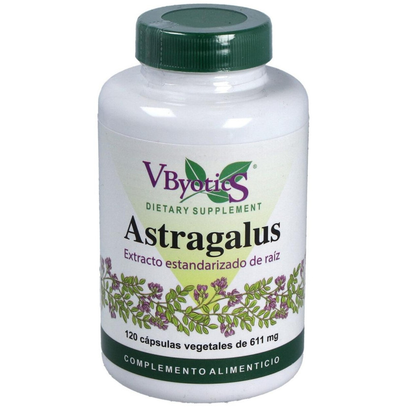 Astragalus Extracto Estandarizado Raíz 120caps - Vbyotics