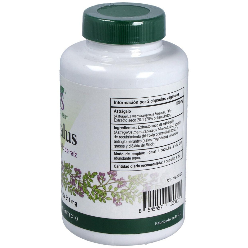 Astragalus Extracto Estandarizado Raíz 120caps - Vbyotics