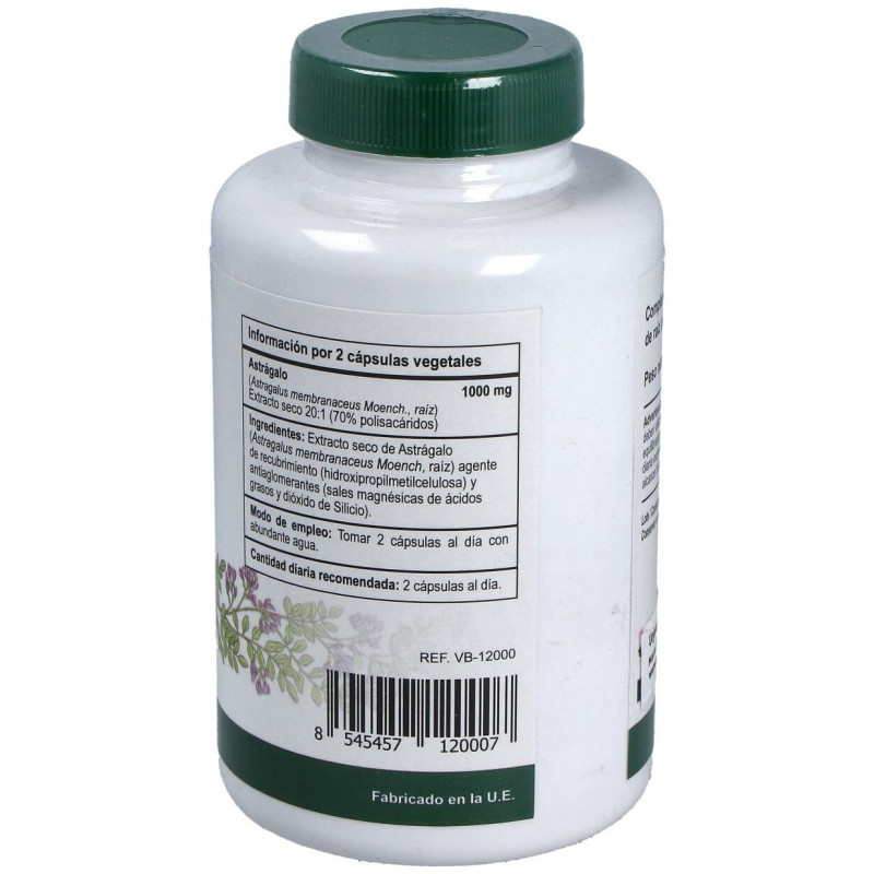 Astragalus Extracto Estandarizado Raíz 120caps - Vbyotics