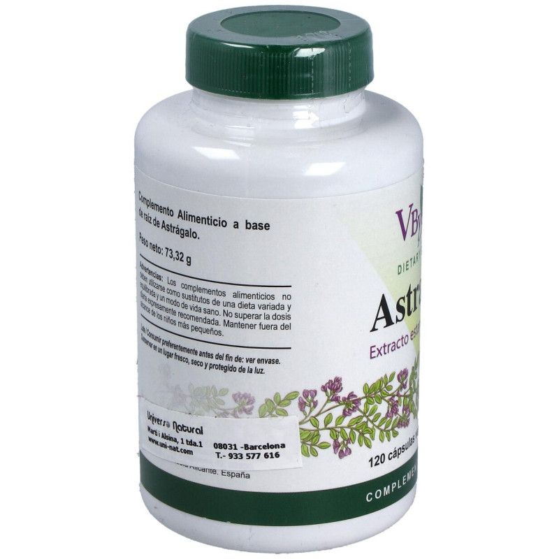 Astragalus Extracto Estandarizado Raíz 120caps - Vbyotics