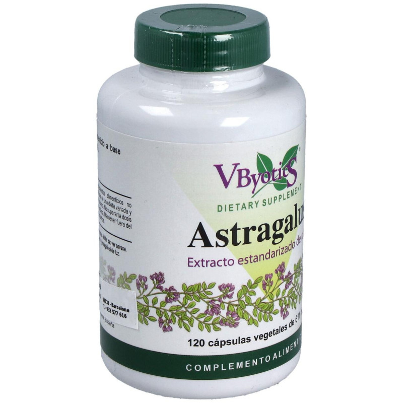 Astragalus Extracto Estandarizado Raíz 120caps - Vbyotics