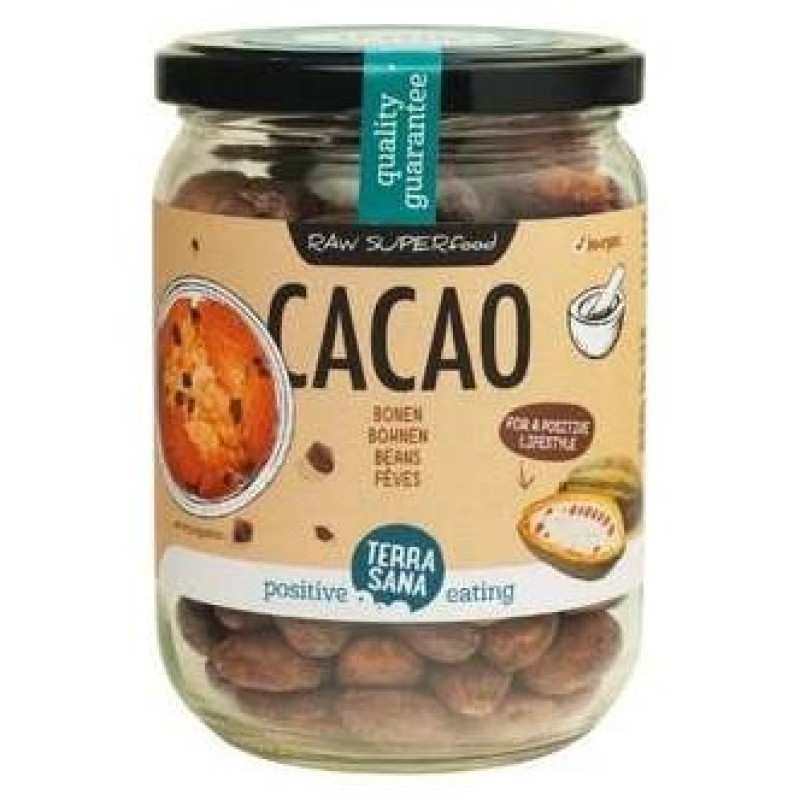 Raw Cacao en Grano Bio Orgánico 250g - Terrasana