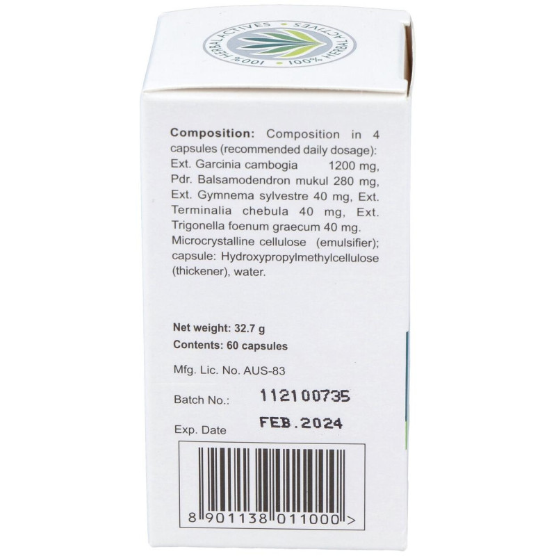 Healthcare Ayurslim Adelgazar 60cáps - Himalaya