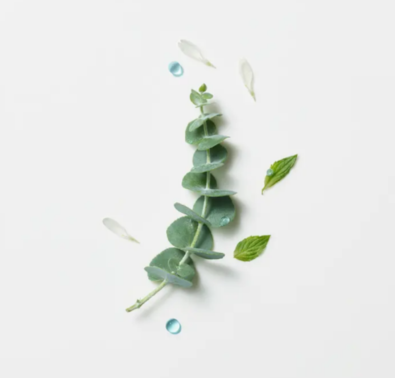 Head Spa Astera Fresh Fluido Calmante Refrescante, 50 ml. - René Furterer