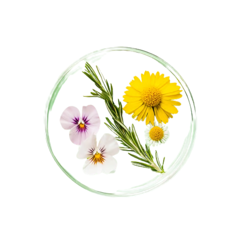 Skin Food Phyto Infusion Sérum, 30 ml. - Weleda