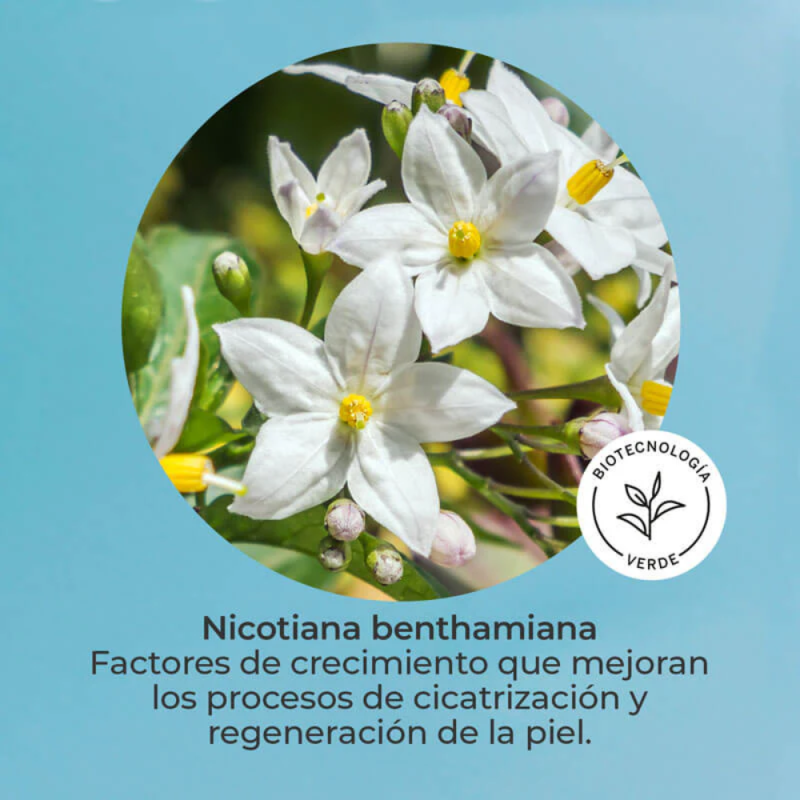 Cofre Antiaging Piel Sensible : Skin Factor Sérum, 30ml + Skin Factor Crema, 50ml. - Segle Clinical