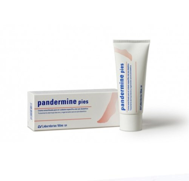 Pandermine Pies Cuidado del Pie Diabético, 100 ml. - Viñas